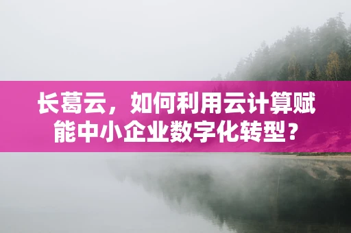 长葛云，如何利用云计算赋能中小企业数字化转型？