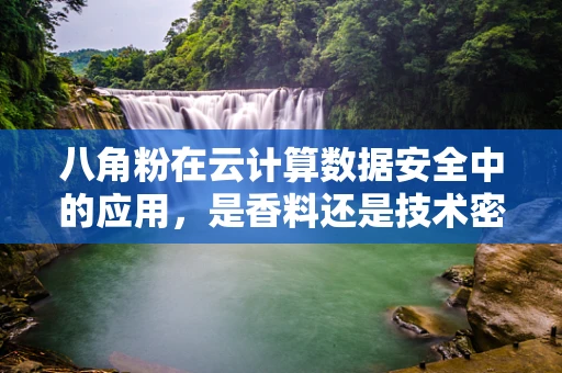 八角粉在云计算数据安全中的应用，是香料还是技术密钥？