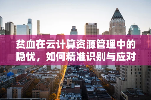 贫血在云计算资源管理中的隐忧，如何精准识别与应对？