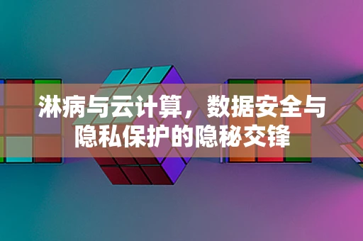 淋病与云计算，数据安全与隐私保护的隐秘交锋