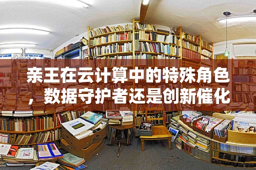 亲王在云计算中的特殊角色，数据守护者还是创新催化剂？