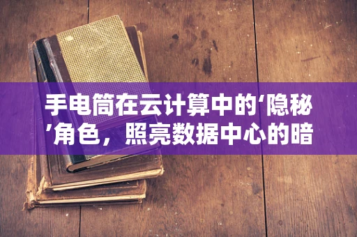 手电筒在云计算中的‘隐秘’角色，照亮数据中心的暗区？