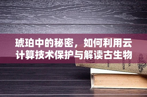 琥珀中的秘密，如何利用云计算技术保护与解读古生物信息？