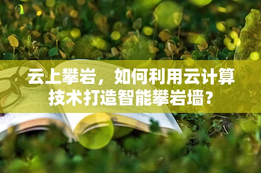 云上攀岩，如何利用云计算技术打造智能攀岩墙？