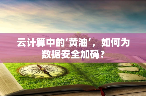 云计算中的‘黄油’，如何为数据安全加码？